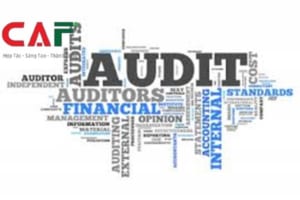 Dịch vụ kiểm toán