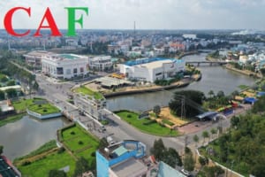 Công ty dịch vụ kiểm toán uy tín tại Long An