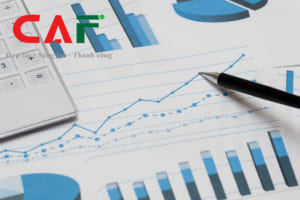 Dịch vụ báo cáo thuế ở Bình Dương