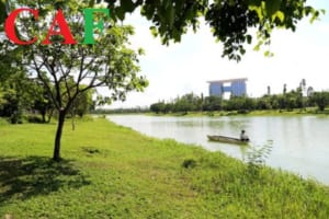 Công ty kiểm toán độc lập ở Bình Dương