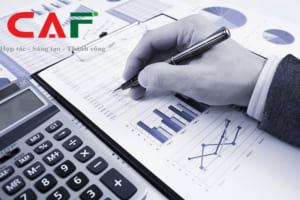 Bảng giá dịch vụ kiểm toán tại đồng Nai