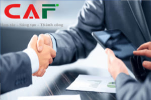 Công ty dịch vụ kế toán tại Mộc Hoá Long An