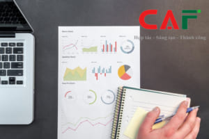 Hồ sơ giao dịch liên kết