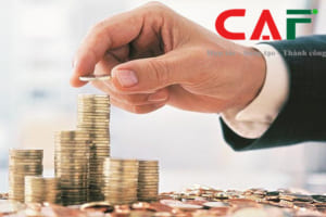 Chi phí lập báo cáo chuyển giá