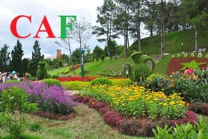 Bảng giá kiểm toán tại Lâm Đồng