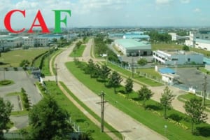 Những công ty báo cáo thuế uy tín tại Trảng Bom Đồng nai