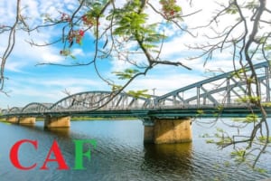 Báo phí kiểm toán tại Thừa Thiên Huế