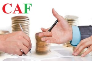 Các trường hợp không cần phải có chứng chỉ đấu thầu