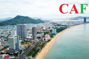 Chuyên kiểm toán báo cáo tài chính tại Bình Định