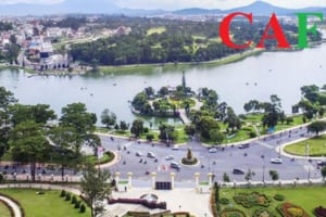 Công ty kiểm toán độc lập tại Lâm Đồng