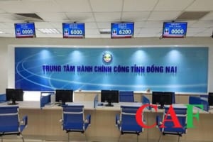 Dịch vụ báo cáo thuế tại Đồng Nai