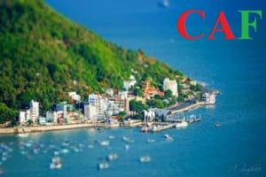 Kiểm toán báo cáo tài chính tại Bà Rịa Vũng Tàu