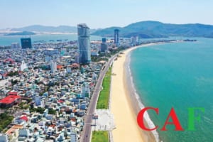 Dịch vụ kiểm toán tại Bình Định