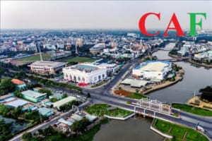 Dịch vụ lập báo cáo chuyển giá tại Long An