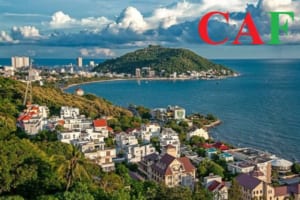 Dịch vụ thành lập công ty tại Bà Rịa Vũng Tàu