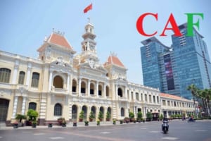 Dịch vụ tư vấn chuyển giá tại TP HCM