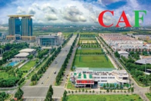 Kiểm toán báo cáo tài chính tại Bình Dương uy tín