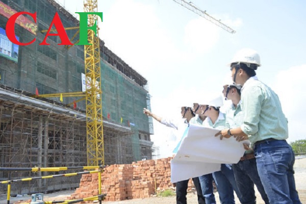 kiểm toán báo cáo tài chính đấu thầu