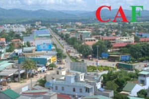 Kiểm toán báo cáo tài chính tại Kon Tum