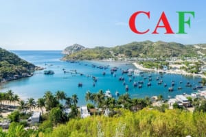 Kiểm toán độc lập tại Ninh Thuận