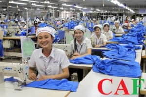 Quy định về trợ cấp thôi việc và trợ cấp thất nghiệp