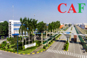 Thuê dịch vụ kế toán tại Dĩ An Bình Dương