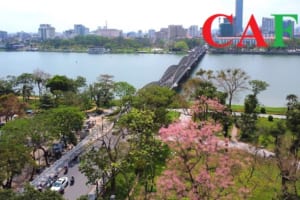 Thuê dịch vụ kiểm toán tại Thừa Thiên Huế