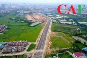 Thuế sử dụng đất và những nội dung lưu ý