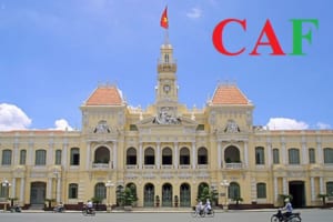 Tư vấn chuyển giá tại Bình Dương