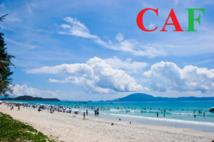 Công ty kiểm toán độc lập tại Hà Tĩnh