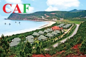 Kiểm toán độc lập uy tín tại Nghệ An