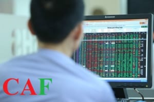 Cổ phiếu Bluechip là gì