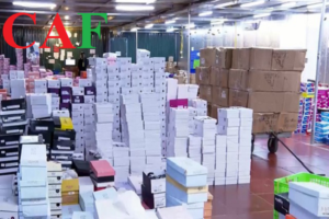 Dịch vụ kiểm kê kho hàng tại Long An