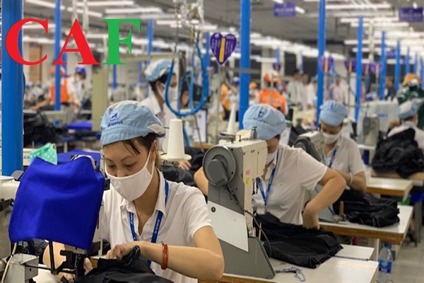 Dưới 10 lao động được miễn gửi thang bảng lương