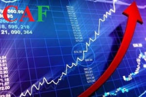 Hối phiếu là gì