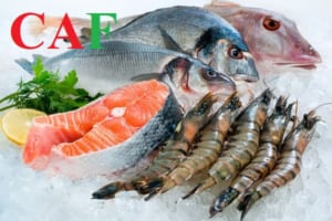 Lưu ý khi kinh doanh hải sản tươi sống