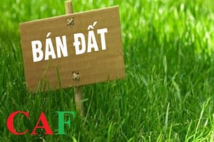 Mức phạt chậm nộp thuế khi mua bán nhà đất