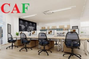 Ngành kiểm toán học ra trường làm gì