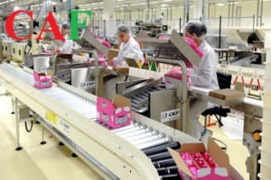 Dịch vụ thành lập công ty sản xuất bánh kẹo