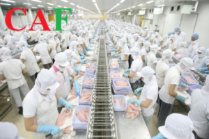 Thành lập công ty sản xuất thực phẩm