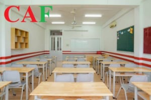 Dịch vụ thành lập trung tâm ngoại ngữ