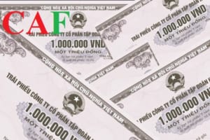 Trái phiếu là gì