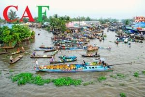 Bảng giá kiểm toán tại Hậu Giang