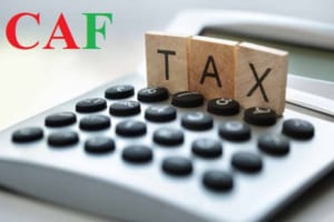 Chi nhánh công ty có phải nộp thuế môn bài