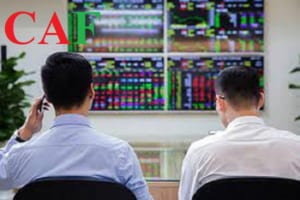 Chỉ số P/B và P/E là gì