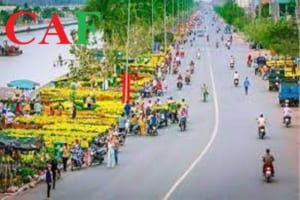 Công ty kiểm toán độc lập tại Hậu Giang