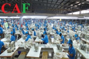 Thành lập công ty sản xuất máy cho ngành dệt may da