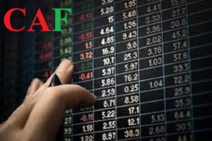 Đầu tư theo trường phái nhận cổ tức