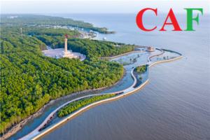 Khi nào phải đấu giá