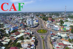 Công ty kiểm toán độc lập tại tỉnh Bình Phước